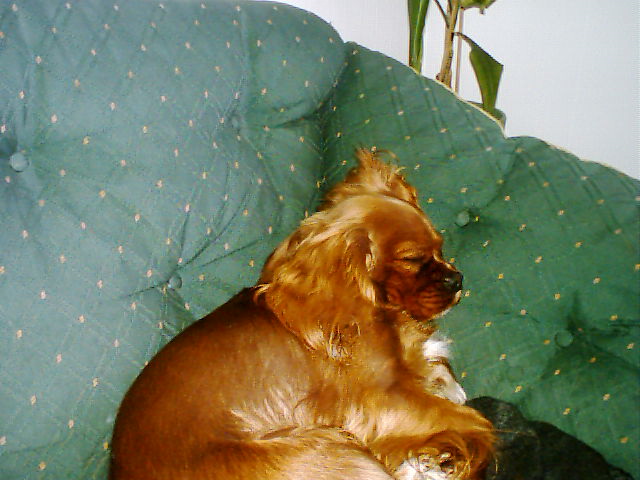 Bild 26.jpg